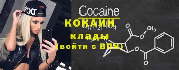 кокс Алексин