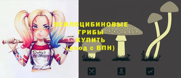 гидропоника Алзамай
