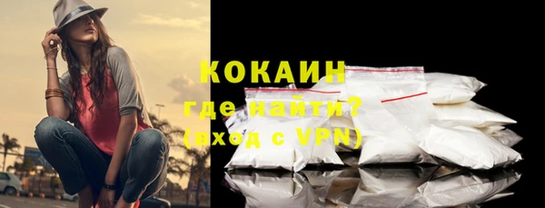 кокс Алексин
