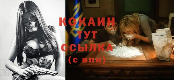 кокс Алексин