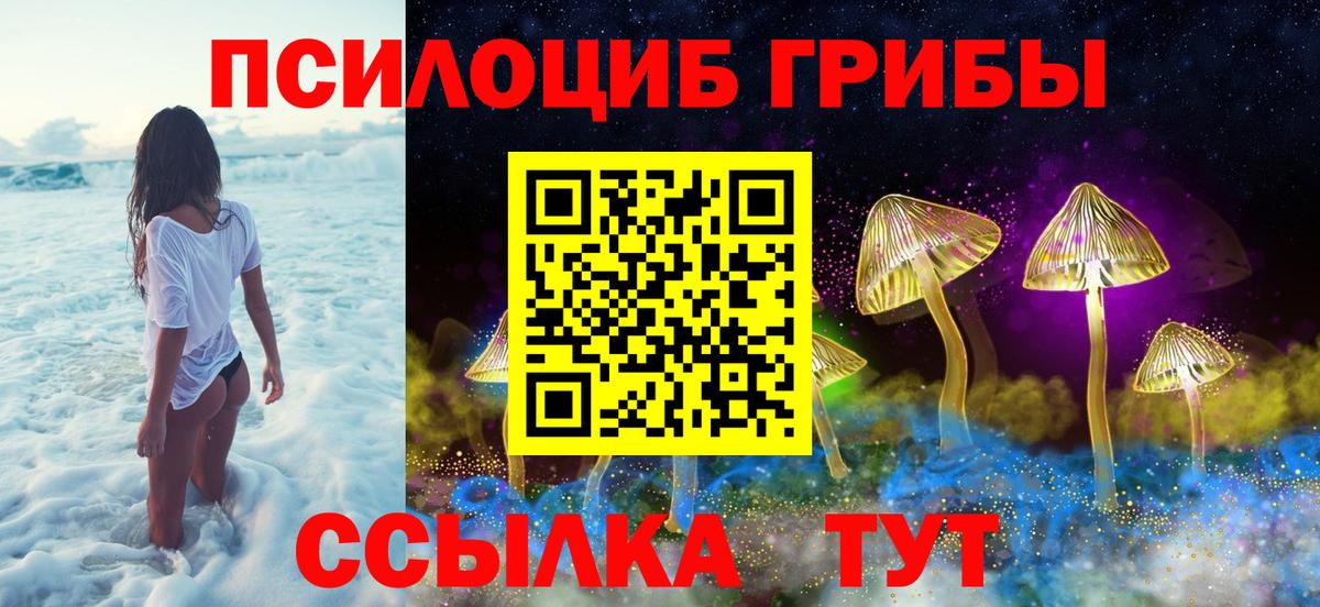 Галлюциногенные грибы мицелий  Галлюциногенные грибы мухоморы  Вход с VPN  Мичуринск 