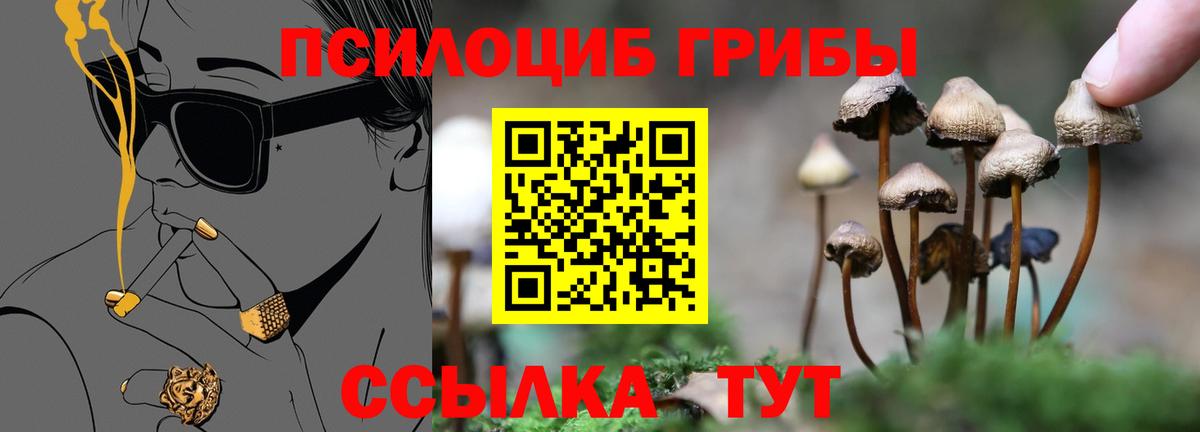 Галлюциногенные грибы GOLDEN TEACHER Мичуринск