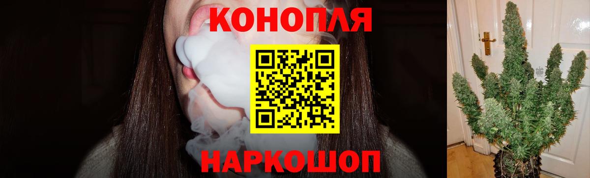 Мичуринск  Канабис планчик  Вход с VPN  Каннабис сатива 